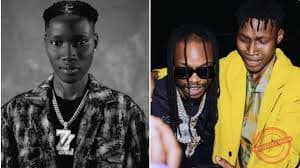 Zinoleesky Label "Zinodict"