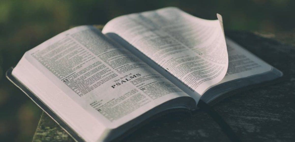 Bible passage