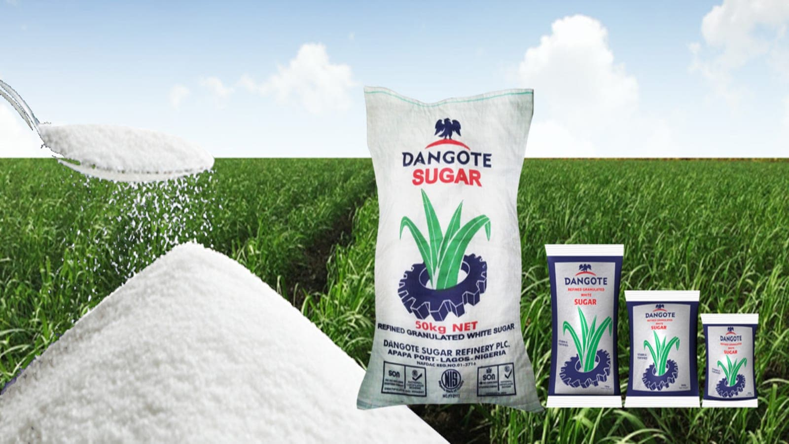 Dangote Sugar, 600,000MT Annual Production, FG, 2030