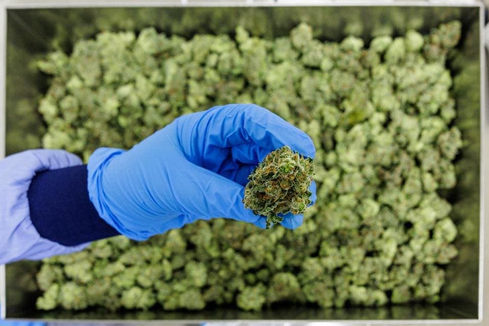 Germany, Cannabis, Online Prescriptions