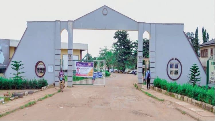 OAUTH, Immunotherapy Clinical Trial, Colorectal Cancer